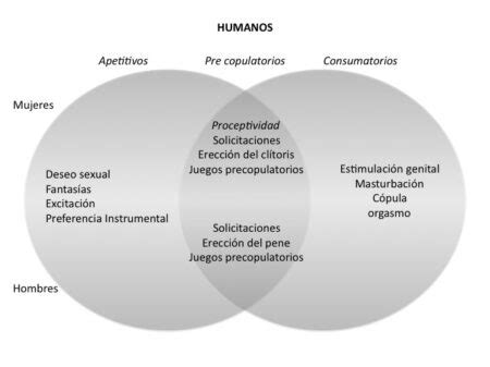 actividades de los hombres|10 actividades exclusivas que realizan los hombres